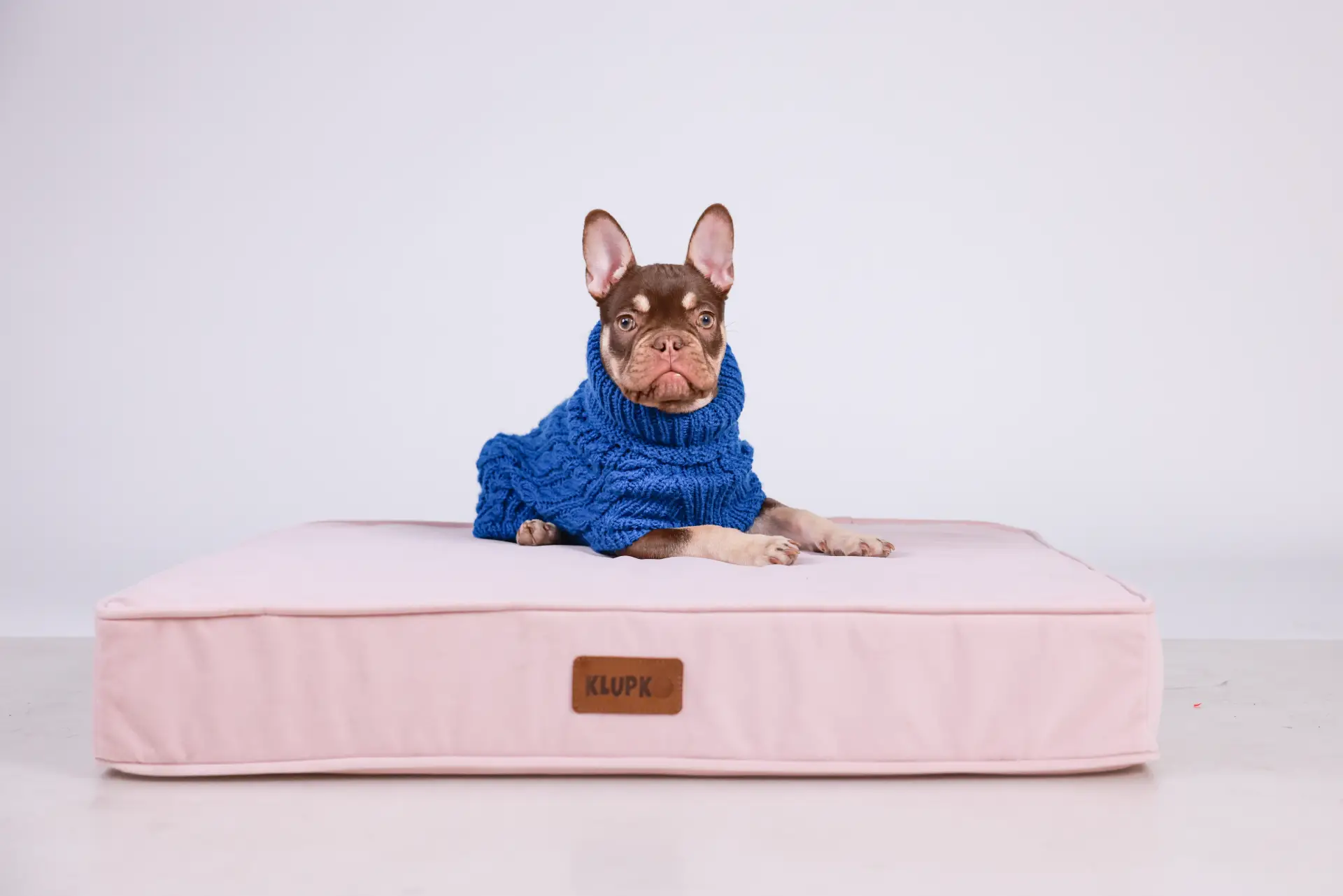 Džemperi za pse pozadina